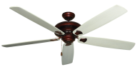 5 Wings Fan Png Download