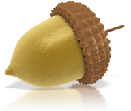 Acorn Png Golden color