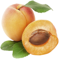 Apricot Fruit Png