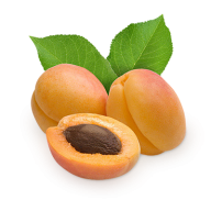Apricot Png Icon Clipart