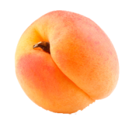 Apricot Png Icon Free Download