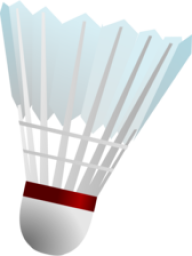 badminton ball free PNG