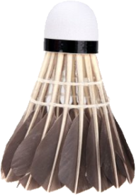 badminton chicken hair PNG