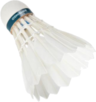 badminton PNG free download