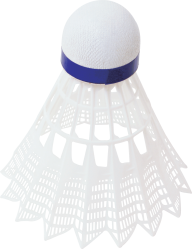badminton side view png