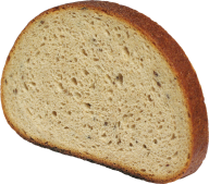 bare sliced breed  free image download