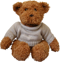 Bear Png Doll with Dress