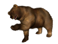 Bear Png Shake your Hands