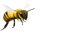 bee png free