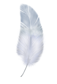 Birdy Feather Png Download