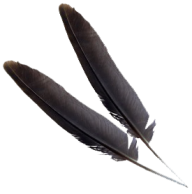 Black Png Feather download