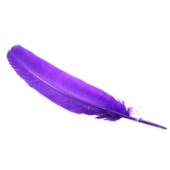 Blue Png image Feather