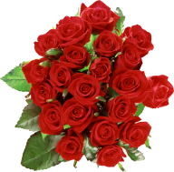 bokkay red rose with leaves free png download