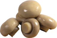 Brownish Buttom Mushroom Png