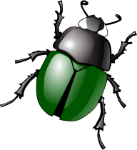BUG Free PNG Image Download 14