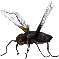 BUG Free PNG Image Download 17