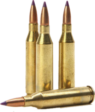 bullet png download