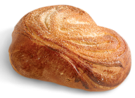Bun Free PNG Image Download 19