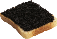 Burger Sandwich Free PNG Image Download 10