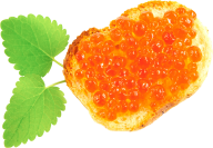Burger Sandwich Free PNG Image Download 11