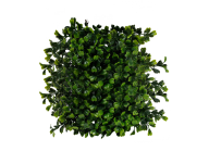 Bush PNG free Image Download 26