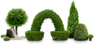 Bush PNG free Image Download 31