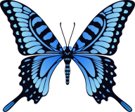Butterfly Png Blue