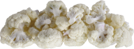 Cabbage PNG free Image Download 17