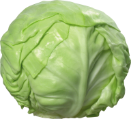 Cabbage PNG free Image Download 2
