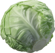 Cabbage PNG free Image Download 20