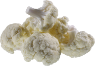 Cabbage PNG free Image Download 29