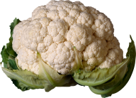 Cabbage PNG free Image Download 45