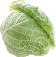 Cabbage PNG free Image Download 5