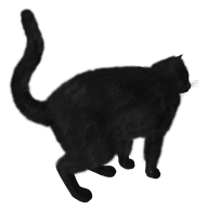 Cat Back Side Png