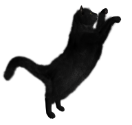 Cat Jumping over Png