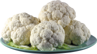 cauliflower PNG free Image Download 1