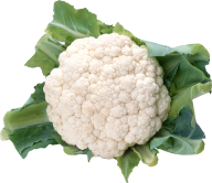 cauliflower PNG free Image Download 14