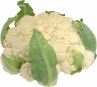 cauliflower PNG free Image Download 16