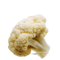cauliflower PNG free Image Download 24
