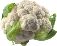 cauliflower PNG free Image Download 26