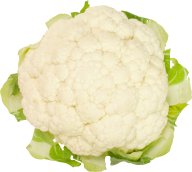 cauliflower PNG free Image Download 4
