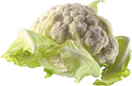 cauliflower PNG free Image Download 6