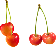 cherry png free download 10