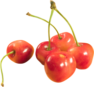 cherry png free download 22