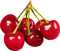 cherry png free download 25