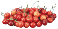 cherry png free download 26