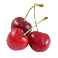 cherry png free download 29