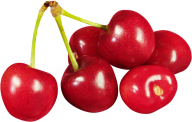 cherry png free download 30