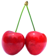 cherry png free download 35