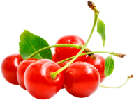 cherry png free download 46